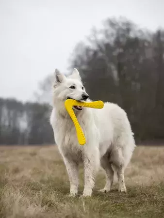 Fiboo -fiboom -2w1 szarpak i zabawka do rzucania - ŻÓŁTY 2